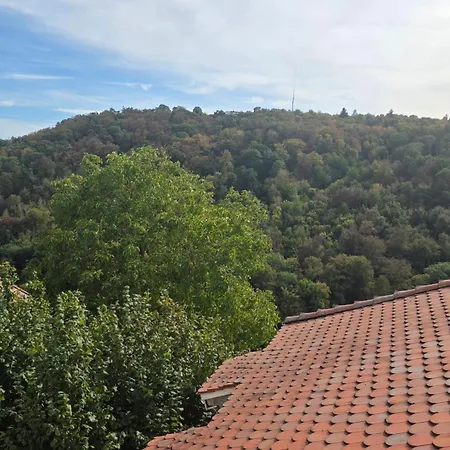 Alte Pfarrey * Neuleiningen