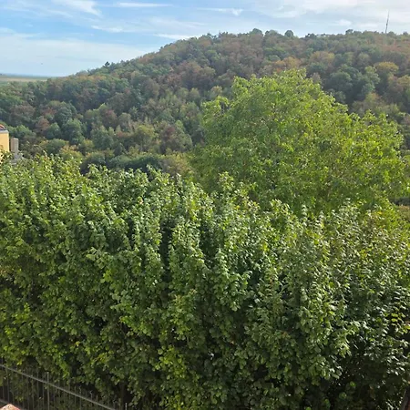 Alte Pfarrey Apartment